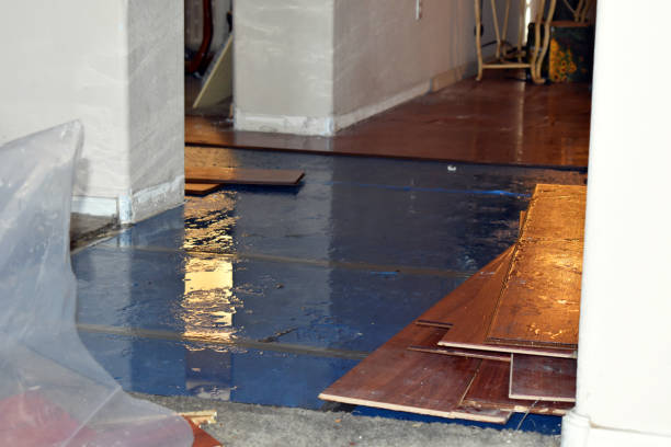 Professional Sewage Cleanup technician working in Mustang, OK